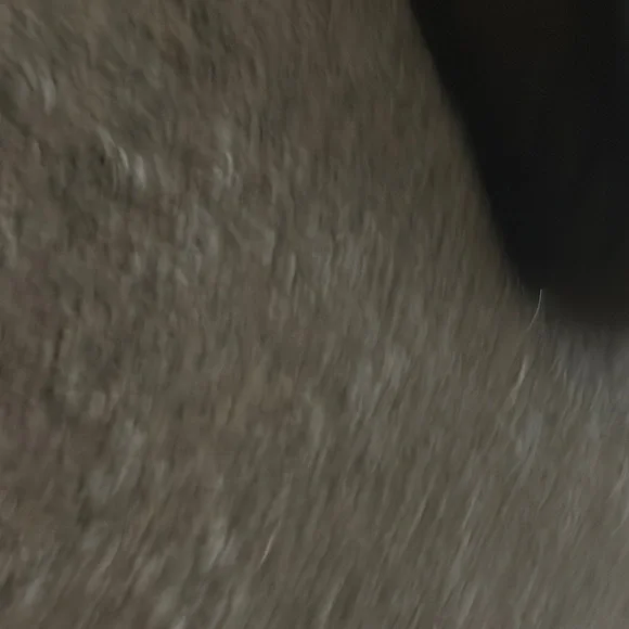 Dr. Martens Metallic Boots Toddler Size 8 - Picture 7 of 8